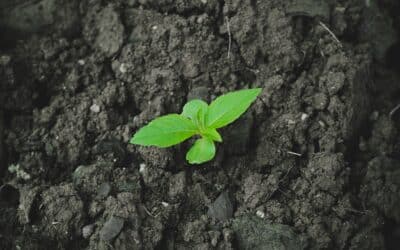 Von Offsetting zu Reduction-by-Design: Der neue Unternehmensstandard